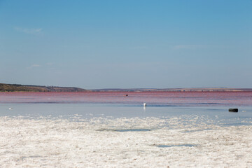 Aerial drone top down photo of a natural pink lake Kuyalnik in Odessa, Ukraine. Lake naturally turns pink due to salts and small crustacean Artemia in the water. This miracle is rare occurrence.