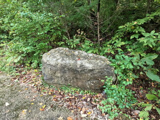 Large Rock On The Ground With Trees And Leaves Surrounding At Greenway Farms, Hixson, Tennessee