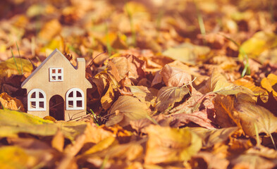The symbol of the house stands among the fallen autumn leaves
