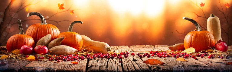 Thanksgiving And Harvest - Pie Pumpkins, Sweet Potatoes, Squash And Cranberries On Harvest Table At Sunset