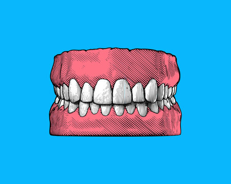 Vintage human tooth and gum illustration on blue BG