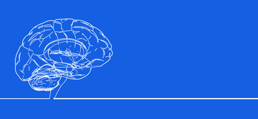 Human brain anatomy doodling drawing isolated on blue BG