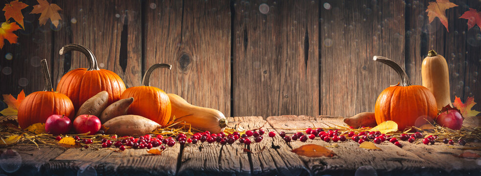 Thanksgiving And Harvest - Pie Pumpkins,
Sweet Potatoes, Squash And Cranberries On Harvest Table With Wood Background
