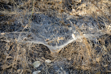 circular spider web into hole