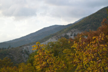 Obraz premium view of mountains and Gelendzhik, Russia. 