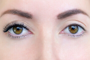 Naklejka premium Eyelash extension procedure. Woman eye with long eyelashes. Close up