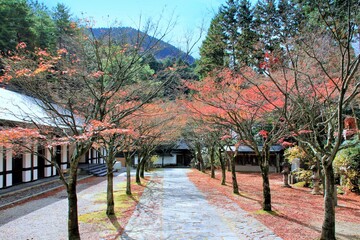 紅葉の呑山観音寺
