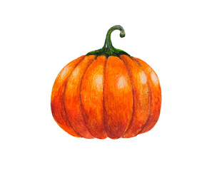 Orange pumpkin on a white background isolated, watercolor drawing