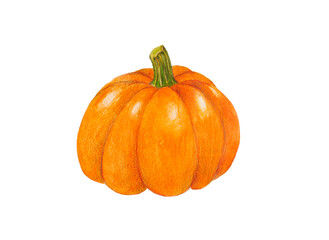 Watercolor pumpkin on a white background isolated