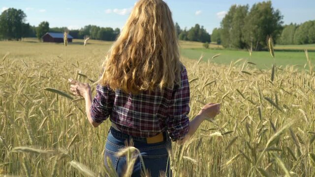 Country girl with golden hair wearing a checked shirt walking in rye field.