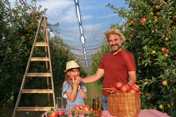 Farmer and His Little Daughter With A Basket of Appetizing Red Apples and Apple Juice in an Orchard - Healthy Food Concept