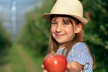 Little Blue Eyed Girl Giving Red Apple in Sunny Orchard - Healthy Food Concept