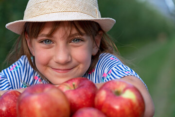 Little Blue Eyed Girl With A Basket of Red Apples in an Orchard - Healthy Food Concept