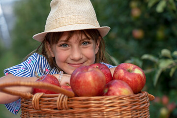 Little Blue Eyed Girl With A Basket of Red Apples - Healthy Food Concept