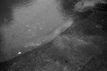 rain on the street