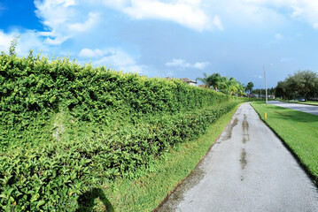 Naklejka premium community, white cloud and blue sky in summer