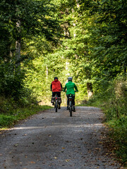 Obraz premium Radfahrer auf Waldweg