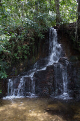 waterfall in the forest