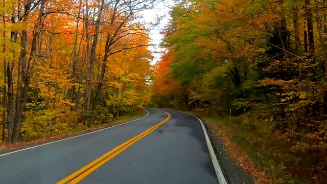 TimeLapse - Driving Under Trees and Around Curves as Trees Change Colors During Fall in Vermont.