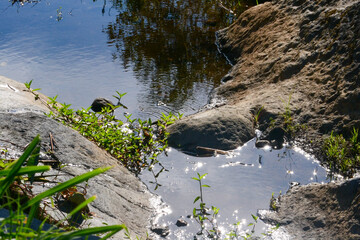 small river in the mountains