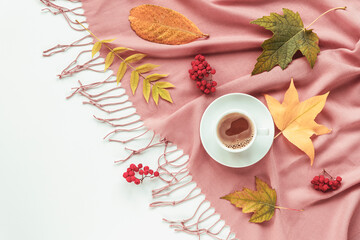 Autumn flat lay with coffee or cocoa cup and colorful leaves on pink shawl. Top view, copy space. White background