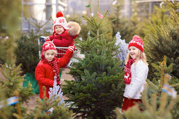 Kids buying Christmas tree
