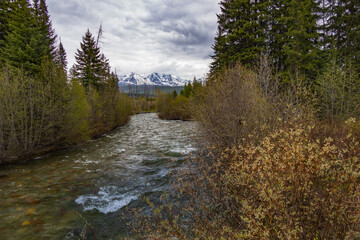Fototapeta na wymiar Stream with Glacier National Park mountain background 