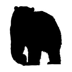 Polar Bear (Ursus maritimus) Standing On a Front View Silhouette Found In Map Of Eurasia,Europe And North America Ocean. Good To Use For Element Print Book, Animal Book and Animal Content