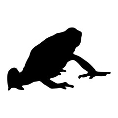 Poison Dart Frog (Dendrobatidae) Standing On a Side View Silhouette Found In Map Of Central And South America. Good To Use For Element Print Book, Animal Book and Animal Content