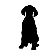 Pointer Dog (Canis Lupus) Sitting On a Front View Silhouette Found In Map Of Europe. Good To Use For Element Print Book, Animal Book and Animal Content