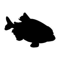 Piranha Fish (Pygocentrus Nattereri) Swimming On a Side View Silhouette Found In Map Of South America. Good To Use For Element Print Book, Animal Book and Animal Content