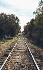 Fototapeta premium railroad tracks in the forest
