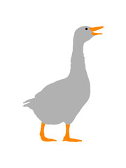 Lachende Gans Design 