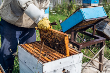 Beekeeper inspecting his honey bees in white beehives on a farm.