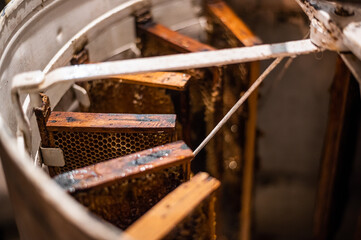 Beekeeper spinning uncapped frames in the centrifuge-like metal container, the process of honey extraction.