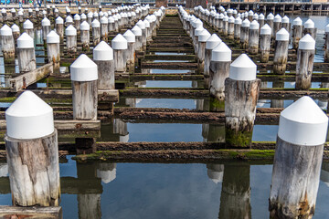 Docklands is a modern harbour development dominated by high-rises and popular for its shopping and...