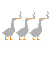 Gänse Team Kiffer 