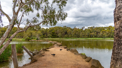 Naklejka premium Newport lake, the area was created from a former Bluestone Quarry and is a Sanctuary for Waterbirds & Wildlife.