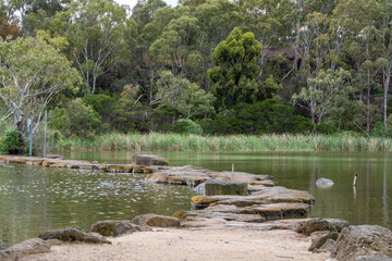 Newport lake, the area was created from a former Bluestone Quarry and is a Sanctuary for Waterbirds...