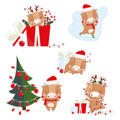 Set of Cute little ox. Chinese new year 2021