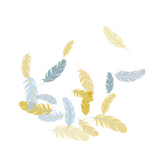 Detailed majestic feather on white design.