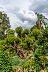 Beautiful park lands and lakes at the Melbourne Botanical Gardens