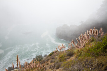 fog in the cliff