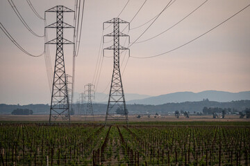 power lines in the field