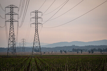 power lines in the field