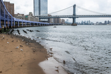 bridge over the river