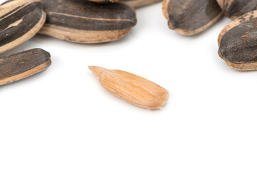 Sun flower seed isolated on white background
