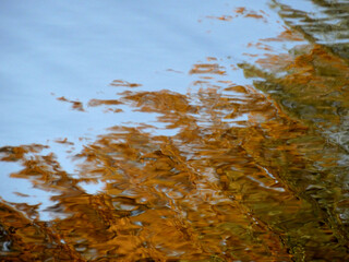 abstract texturally defocused natural autumn blurred background reflection, copy space