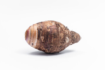 Taro fruit that has not been peeled separately  isolated on white background