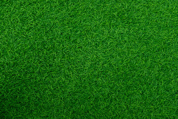 Obraz na płótnie Canvas Green artificial grass natural